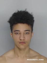 MAVOIDES JULIUS MITCHELL 02/20/2024