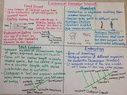 Evidence Of Evolution Biology Glad Anchor Chart Natural Biology Lessons Evolution Activities Biology Notes