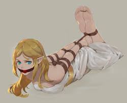 Zelda bound and gagged