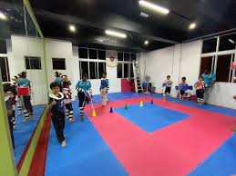 Disebut ap chagi dalam bahasa korea. Dah Join Kelas Sparring Taekwondo Hafiz Rahim
