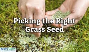 Dig a six inch hole and collect soil samples to mail off to the laboratory's address on the kit. Picking The Right Grass Seed