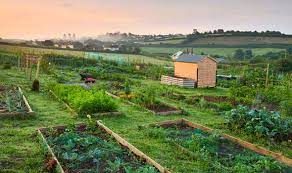 Top Of The Plots: Alan Titchmarsh's Tips On Starting Your Allotment |  Express.co.uk