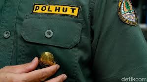 Radya labs is looking for soft. Ini Syarat Jadi Polisi Kehutanan Berjiwa Petualang Dan Taat Hukum