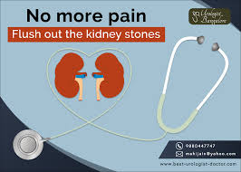 A Kidney Stone Also Known As A Renal Calculus Is A Solid Concretion Or Crystal Aggregation Formed In The Kidneys From Renal Calculi Kidney Stones Medical Help