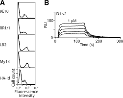 We did not find results for: Engineering Of Single Ig Superfamily Domain Of Intercellular Adhesion Molecule 1 Icam 1 For Native Fold And Function Journal Of Biological Chemistry