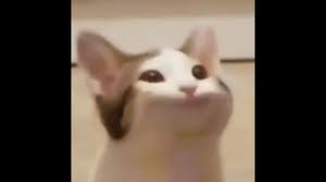 The perfect popcat animated gif for your conversation. How To Hack Popcat Clicker Very Easy Youtube