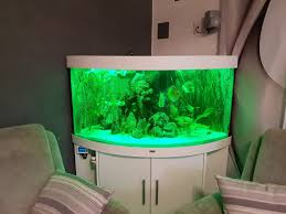 We did not find results for: Ø´Ø¹Ø§Ø± Ø¥ÙŠÙØ§Ø¯ Ø´Ø¯ÙŠØ¯Ø© Aquarium Led Beleuchtung Juwel Amazon Losososcreek Com