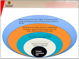 Check spelling or type a new query. Social Ecological Model Diagram Quizlet