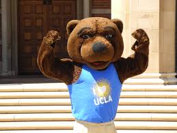 Ucla brand colors (pdf) is a useful reference because it includes the specifications for the full palette and the color contrast accessibility chart. Joe Bruin Rallies Support From Students For Mascot Challenge Daily Bruin