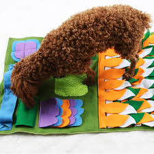 Dog grooming refers to both the hygienic care and cleaning of a dog, as well as a process by which a dog's physical appearance is enhanced for showing or other types of competition. Dog Creative Play Training Blanket For Interactive Pet Nasal Mat Buy Dog Nose Training Blanket Blanket For Dogs Creative Dog Traning Used Mat Product On Alibaba Com