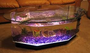 Claire 28 gallons octagon alanrium tank. New Coffee Table Aquarium Long Octagon Fish Tank Kids Or Family Room Furniture Diseno De Dormitorio Para Hombres Disenos De Dormitorios Disenos De Unas