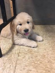 So cute! Congrats MIX Bryan Lord and Kate!