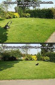 Mow Mow Mow Your Lawn Gently Around The Yard Meme By Bluguy Memedroid