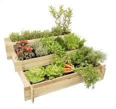 Hillhout Vierkantemetertuin Mini Garden Mini Tuinen Moestuinbak Moestuin