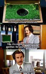 And that, of course, was our newest reporter, veronica, corningstone. Ron Burgundy Quotes 60 Percent Of The Time 284 Best Anchorman Movie Memes And Posters Images Anchorman Dogtrainingobedienceschool Com