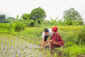 Romantika prewedding dengan cb racing. Prewedding Dengan Motor Cb Terbaik Dari Foto Prewedding Motor Cb Classic Gallery Pre Wedding Almece3