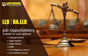 The Professional Education In Legal Studies Imparted At Universal Law College Offers Multiple Career Opp Professional Education Litigation Lawyer Legal Advisor