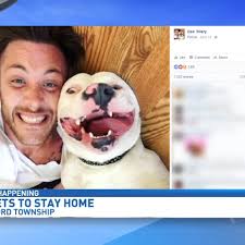 Michigan dog allowed to stay after breed restriction controversy