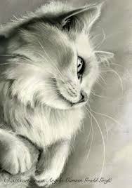 Angela Carmen Griehl Gross Charcoal Drawing Cat Drawing Cat Art Illustration Cat Painting