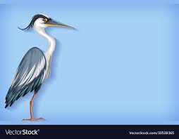 Background Template With Plain Color And Heron Illustration Download A Free Preview Or High Quality Adobe I Heron Illustration Background Templates Background