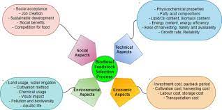 Potential Vs Prevalent Vs Popular Vs Proven Biodiesel Feedstocks A Critical 4p Selection Process Sciencedirect