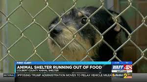 Check spelling or type a new query. Colbert County Animal Shelter Running Out Of Pet Food