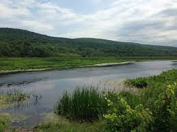 The dec allows visitors to bring dogs with them to the bashakill wildlife management area but they must be under the control of the owner. Basha Kill Wildlife Management Area Wikipedia