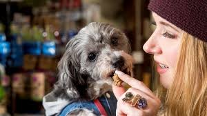 Millennial pet parents boosting Long Island's pooch businesses