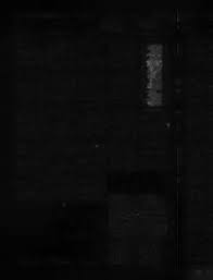 Steinar Sorlie returns home Library feiice fencing continues