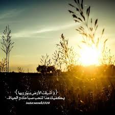 وقيل أيضا أن البنور مأخوذ من كلمة (نوار). Ø·Ø§Ø¦Ø± Ø§Ù„Ø¹Ø§Ø¯ÙŠ ØºØ±ÙŠØ¨ ÙˆØ£Ø´Ø±Ù‚Øª Ø§Ù„Ø£Ø±Ø¶ Ø¨Ù†ÙˆØ± Ø±Ø¨Ù‡Ø§ Dsvdedommel Com