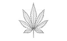 Aug 6 2019 explore daddysmunchkin1 s board trippy drawings followed by 160 people on pinterest. How To Draw A Pot Leaf