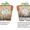 Container gardening which is gardening in pots adds versatility to small and large gardens, yards and homes. Https Encrypted Tbn0 Gstatic Com Images Q Tbn And9gcqz1ffbpku7nydjxmpdnur3l7hdsbbthcuicoedtkzk5lmm0qh7 Usqp Cau