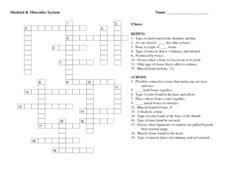 Skin, epithelium, connective tissue pages: Bones Crossword Lesson Plans Worksheets Reviewed By Teachers