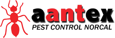 Find pest control services in sacramento, ca for home & commercial pest control welcome to sacramento, the state capital of california, located in california's sunny northern central valley. Exterminator Pest Control Services Sacramento Ca Sacramento Exterminator Experts Aantex Pest Control Norcal