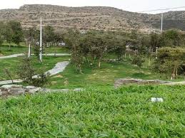 غابة رغدان في مدينة الباحة السعودية golf courses tourism plants