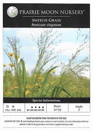 Image result for Aizoon virgatum