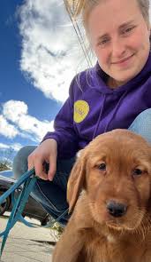 Cannabis Concentrates