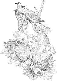 We have collected 38+ dove coloring page images of various designs for you to color. Mourning Doves Coloring Page From Doves Category Select From 24913 Printable Crafts Of Cartoons Nature Anim Bird Coloring Pages Coloring Pages Mourning Dove