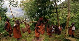 Dsicover rwanda people and culture, their traditions, practices and lifestyle. Batwa The Perpetual Victims Of Tribal Conflict In Rwanda Mcdaniel College Budapestmcdaniel College Budapest