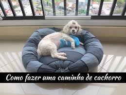 Caminha Para Cachorro Grande Passo A Passo Pin Em Pet