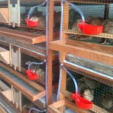 We did not find results for: Kandang Puyuh Full Otomatis Free Instalasi Shopee Indonesia