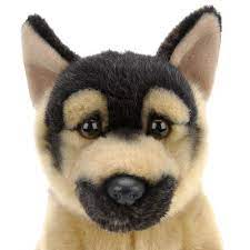 Pin On Gsd Pics