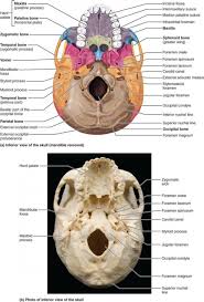 Pin On Dental Hygiene
