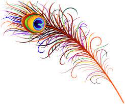 We did not find results for: Download Redd Design Peacock Feather Peacock Feather Logo Png Png Image With No Background Pngkey Com