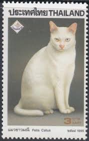 Khoa Manee Cat Felis Silvestris Catus Catus Stamp Cats