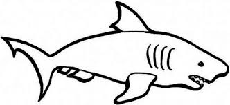 A Simple Drawing Of Blue Shark Coloring Page Kids Play Color Easy Drawings Easy Drawing Images Shark Coloring Pages