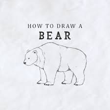 We did not find results for: How To Draw A Bear An Easy Step By Step Tutorial