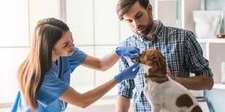 Aaha is committed to advancing veterinary care for your pet, and sets the gold standard in veterinary medicine. Veterinary Clinic Evansville In West Side Pet Hospital Paw S Inn