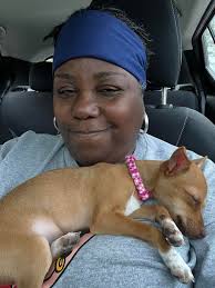 Zonda ❤️ 9 month old black smoke female ❤️