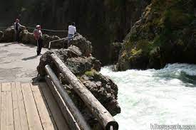 Getyourguide.com has been visited by 100k+ users in the past month Brink Of The Upper Falls Trail Yellowstone River Yellowstone National Park Hikespeak Com